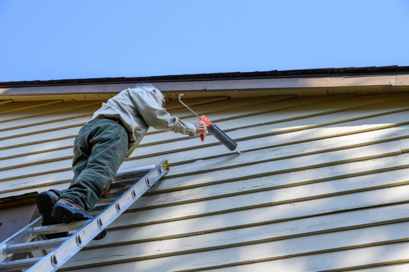 Vinyl Siding Repair Professional Image 2